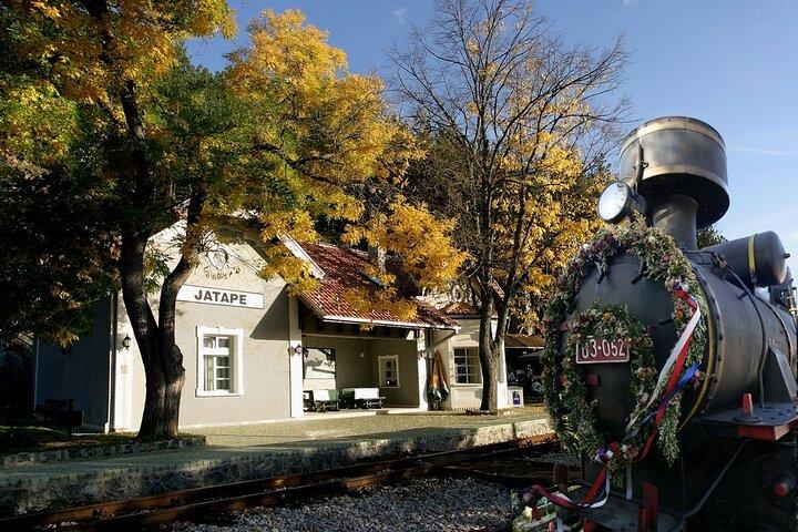 ベオグラードの西： 木造の町、シャルガン8列車＆ドリナ川