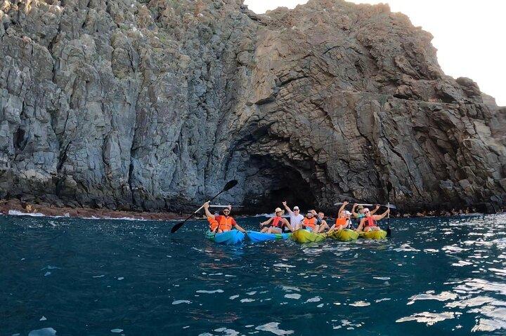 Tour guidato in kayak dalla spiaggia di Los Cristianos Tenerife