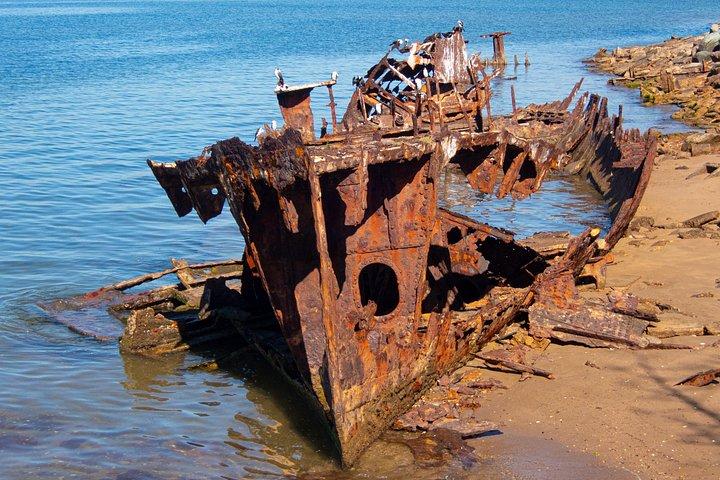 カンガルー、マングローブ、そして海