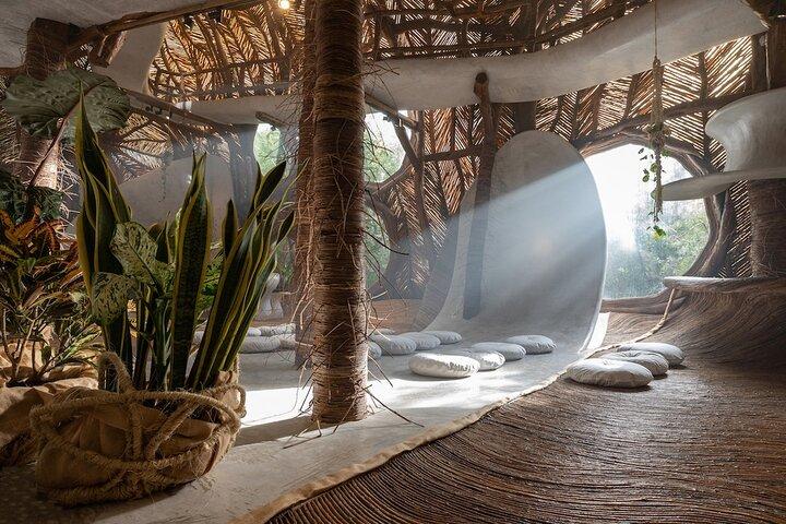 Privétour Tulum Plus Museum Azulik & Sculpture Park