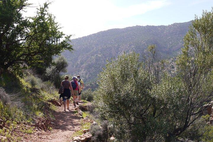 Excursion d'une journée à Ouzoud Waterfalls depuis Marrakech