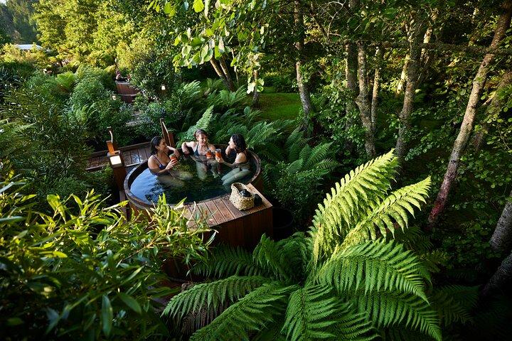 Rotorua Forest Hot Tub Soak på Secret Spot