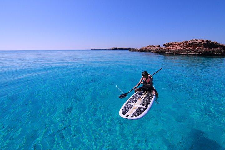 Crociere a Daymaniyat e Snorkeling