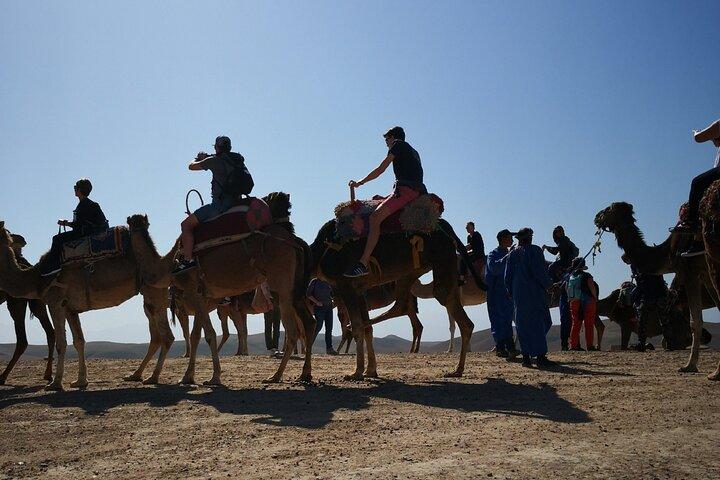 From Marrakech: Camel ride and Quad Biking Tour