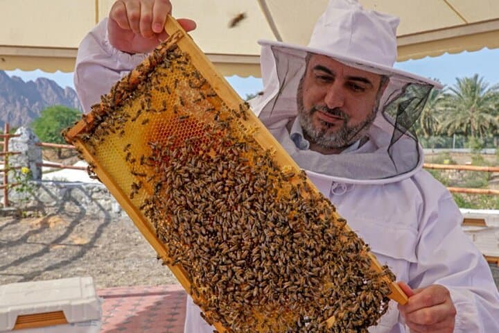Hatta Mountain Tour, Hatta Dam, Heritage Village, Honeybee Garden