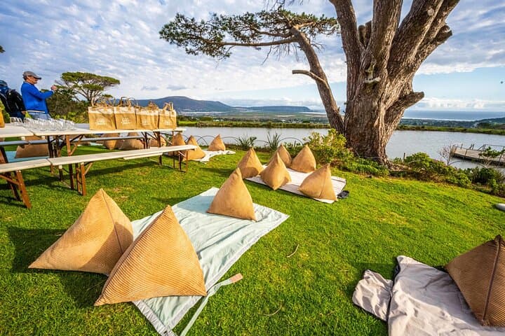 Half day Peninsula & Wine Combo tour