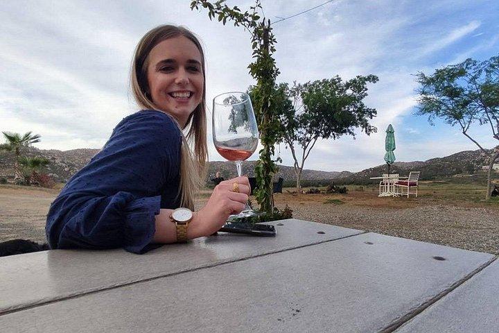 Premium Valle de Guadalupe vin- og madtur