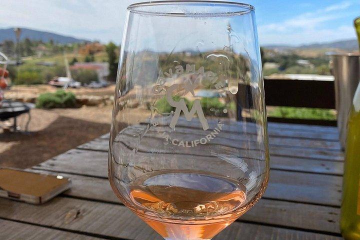 Premium Valle de Guadalupe vin- og madtur