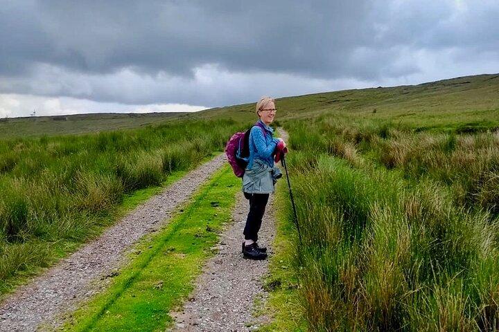 Bog Safari Hike