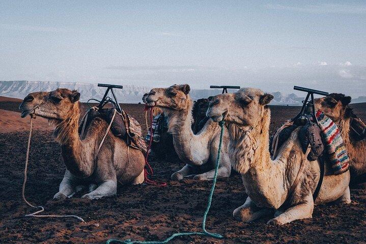 Marrakech Day Tour to the Atlas Mountains & Camel Ride Three Valleys, Waterfalls