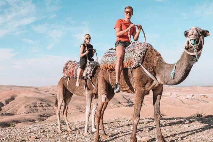Best, Day trip to the Atlas Mountains, Camel ride, waterfalls, from Marrakech
