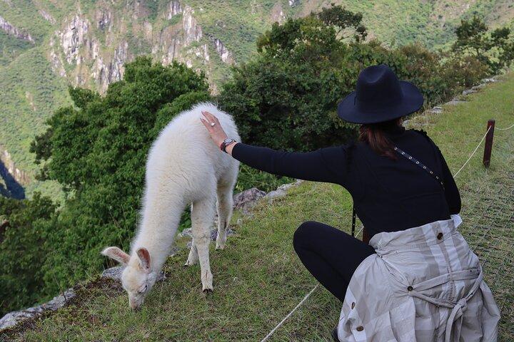Det bedste fra Peru på 11 dage: Lima, Colca Canyon, Titicaca-søen og Machupicchu