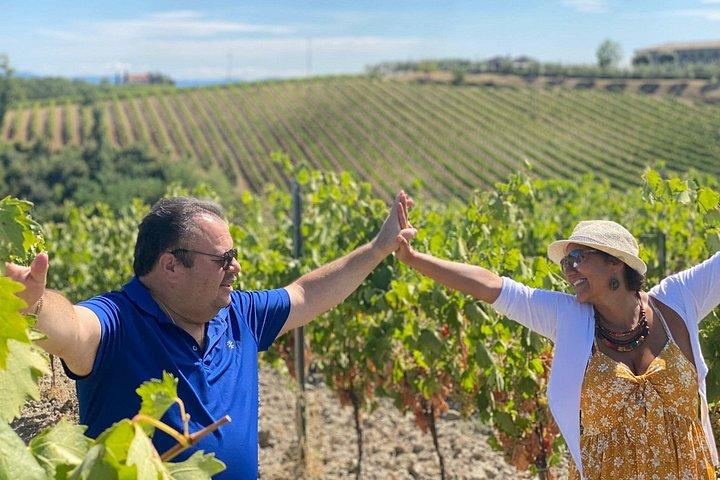Small Group Wine Tour & San Gimignano Visit