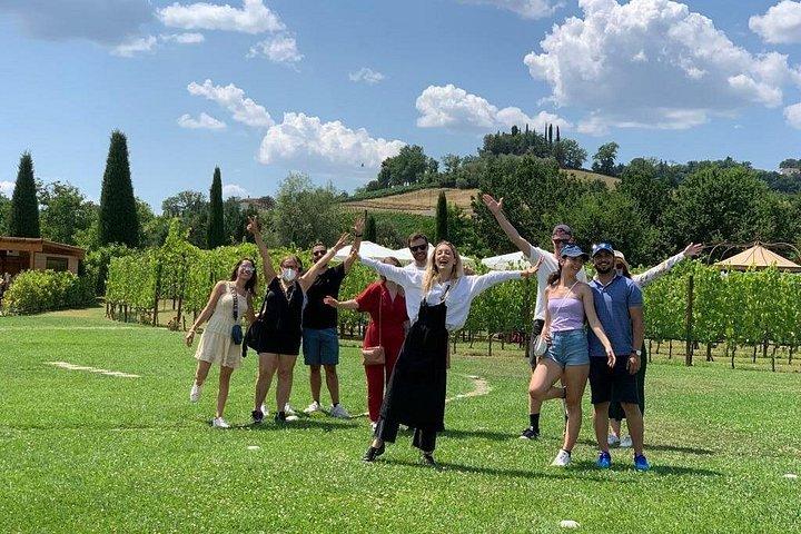 Small Group Wine Tour & San Gimignano Visit