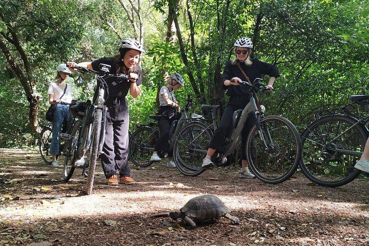 Athens lille gruppe E-cykel tur