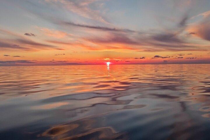 Bådtur med delfinsafari i solnedgang fra Vrsar