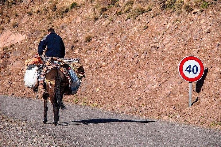 Tagesausflug Ourika-Wasserfall und Berberdörfer