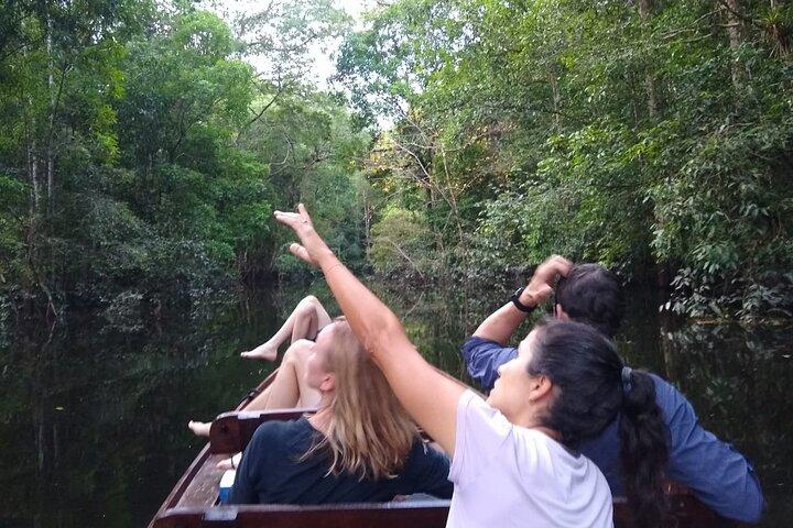 Una noche de aventura en la selva