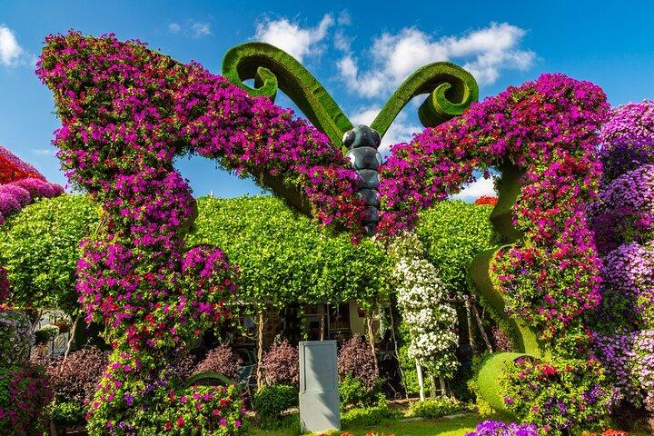 Miracle Garden Dubai Tour com embarque e desembarque em Abu Dhabi