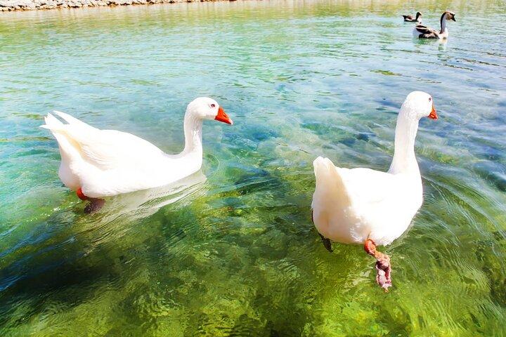 西クレタ島 1 日ツアー : ハニアとレティムノンの旧市街、クルナス湖
