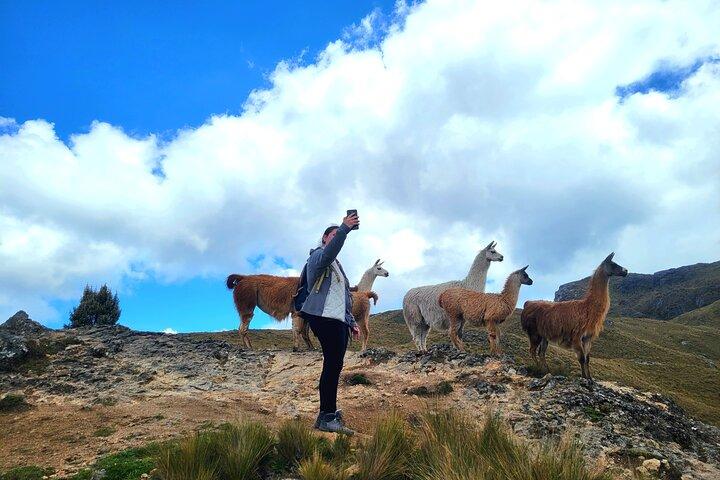 Cajas National Park Lille-gruppe tur fra Cuenca
