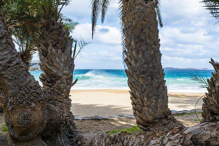 クレタ島 : ヴァイパームの森、イタノス島＆エリムーポリビーチロードトリップ