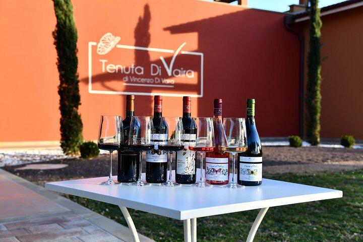 Exclusieve Private Bolgheri Experience : Land van de Super Toscaanse