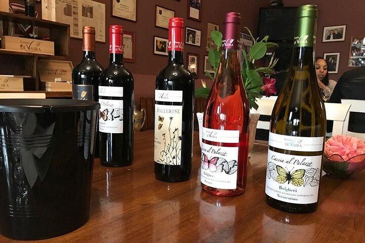 Exclusieve Private Bolgheri Experience : Land van de Super Toscaanse