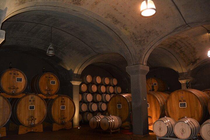Exclusive Private Brunello di Montalcino Experience from Florence