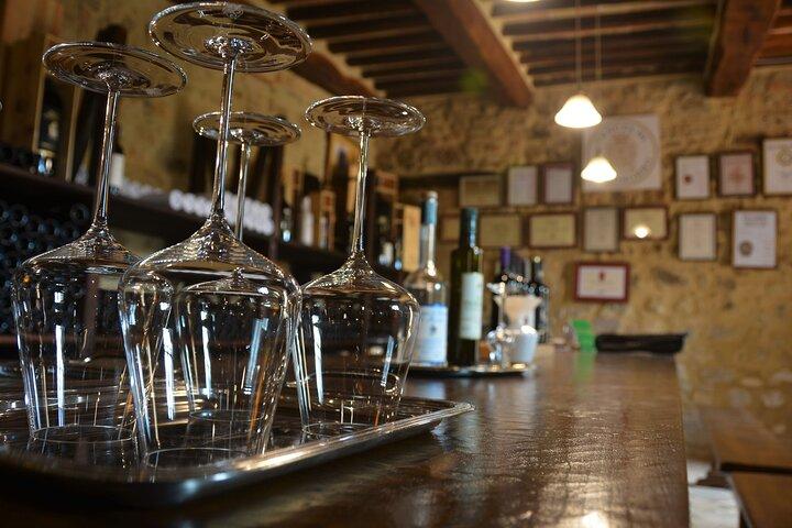 Exclusive Private Brunello di Montalcino Experience from Florence