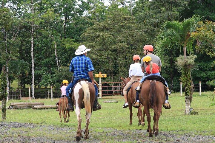 リオセレステに騎乗する乗馬
