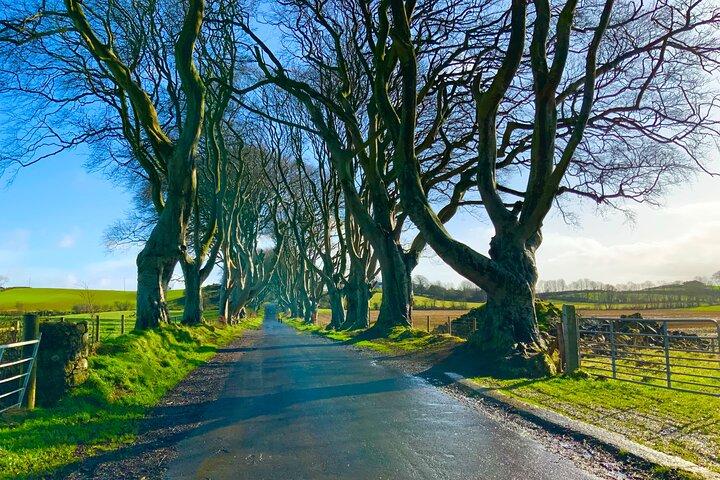 Privater Tagesausflug von Dublin zum Dark Hedges & Giants Causeway