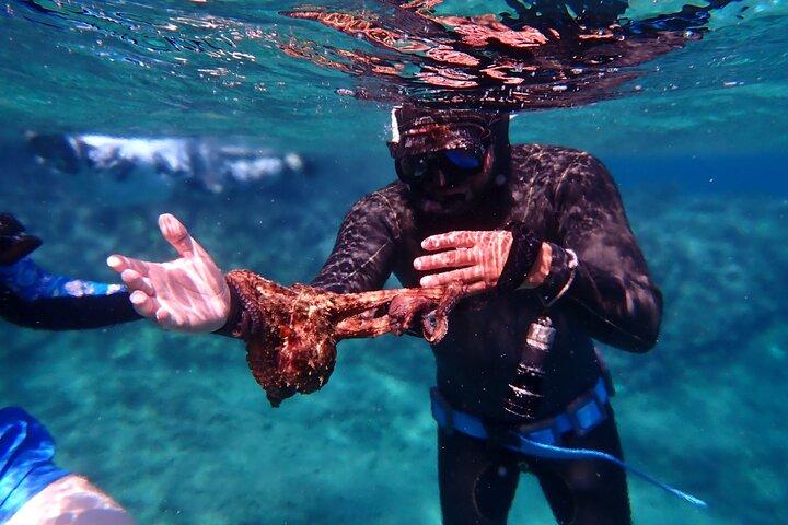 Snorkling og Freediving oplevelse