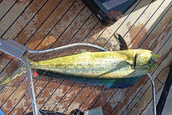 プライベート釣り旅行ハニア、クレタ島（価格はグループごとです）
