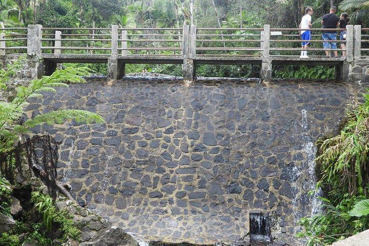 USDA エル ユンケ国立森林公園とルキージョ ビーチ ツアー