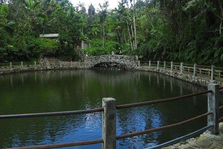 USDA エル ユンケ国立森林公園とルキージョ ビーチ ツアー