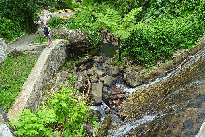 USDA エル ユンケ国立森林公園とルキージョ ビーチ ツアー