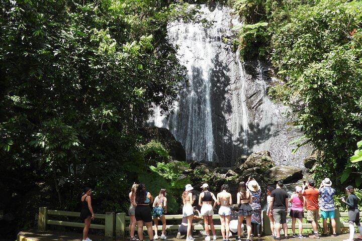 Excursión a la playa de Luquillo y al Bosque Nacional El Yunque del USDA