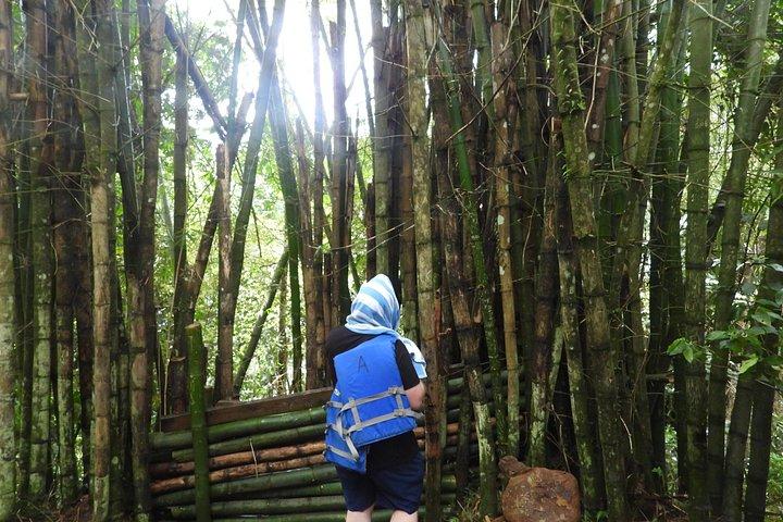 USDA エル ユンケ国立森林公園とルキージョ ビーチ ツアー