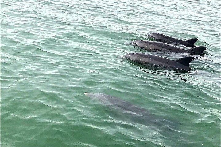 Half-Day Private Boating On Buccaneer Funship - Clearwater Beach