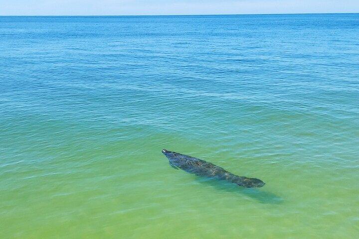 Half-Day Private Boating On Buccaneer Funship - Clearwater Beach