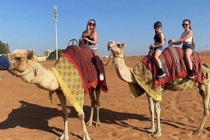 Safari en soirée dans le désert de Dubaï - Privé