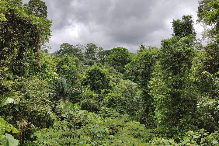 Arenal Volcano 1 Day Tour