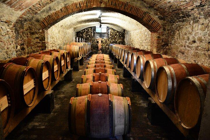 Exklusiv privat Chianti Classico erfarenhet från Florens