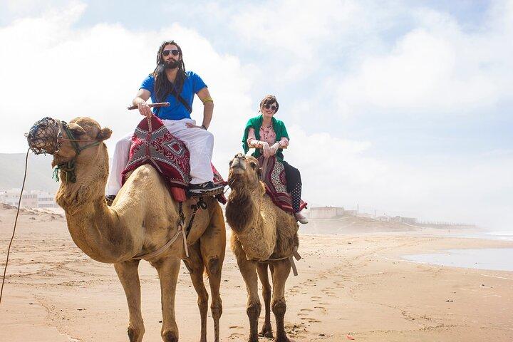 Sunset Camel Ride in Agadir With Hotel Pick up and Drop off