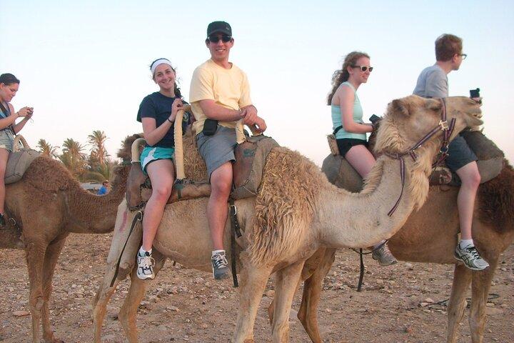 Sunset Camel Ride in Agadir With Hotel Pick up and Drop off