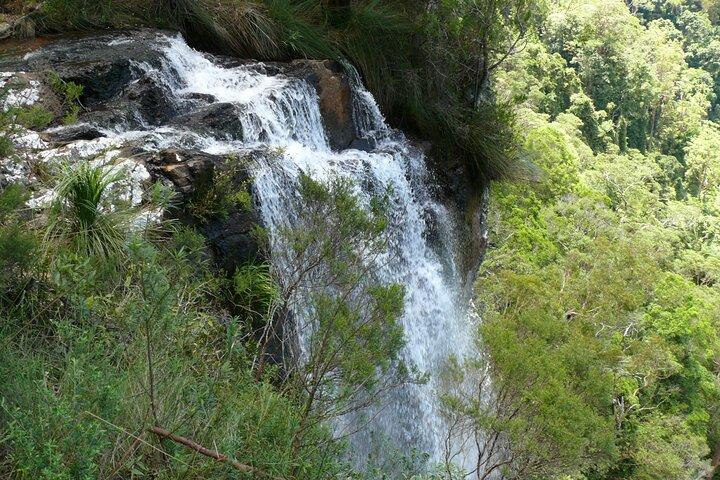 Springbrook, Natural Arch e Numinbah Valley + Mongolfiera con colazione