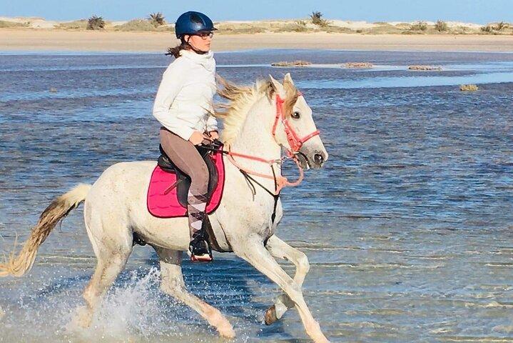Discovery ride on horseback or camel 2h30