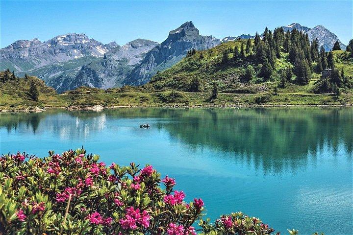 Private Full-Day Mount Titlis Glacier Guided Tour from Zurich