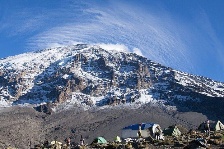 8-dages Mount Kilimanjaro Lemosho Route Trek